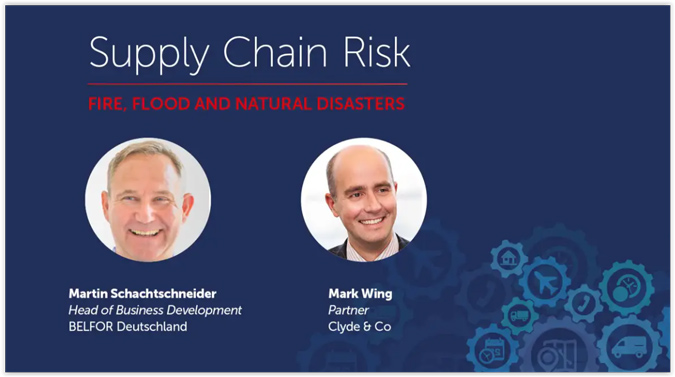 Supply Chain Risk