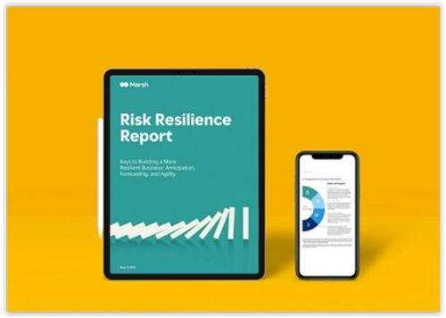 Marsh Resilience Report 2021